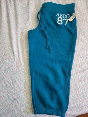 Aeropostale Teal 87 Jogger Crop Sweatpants